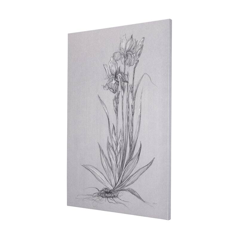 Botanical Sketches IV (Grey) (40 x 60) Canvas Art Print