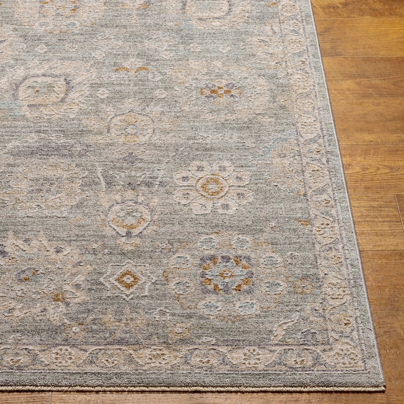 Artistic Weavers Pashe Vintage Distressed Area Rug