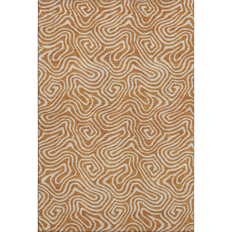 Premium Washable Super Soft Modern Trippy Mayfield Rug