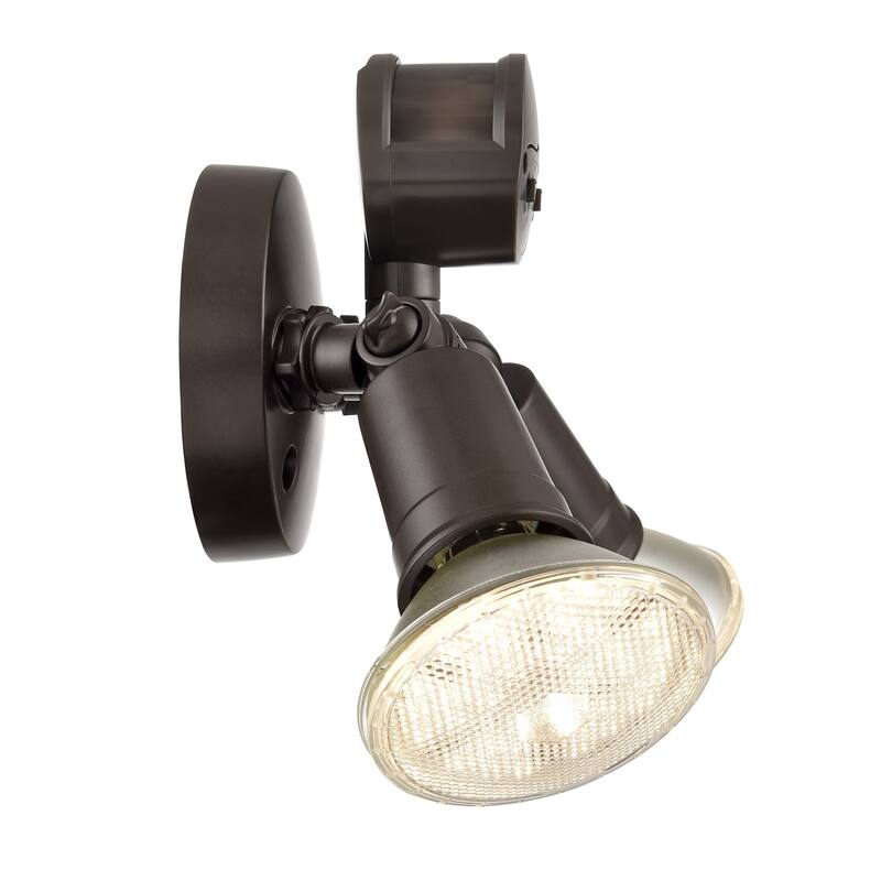 Millennium Lighting M-16002 Double Light 11-1/4" Wide Outdoor Flood
