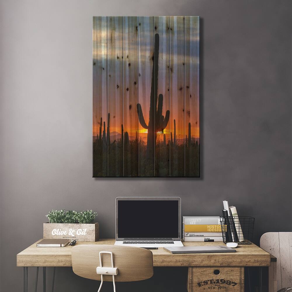 USA, Arizona, Saguaro National Park. Saguaro cactus at sunset. Print On ...