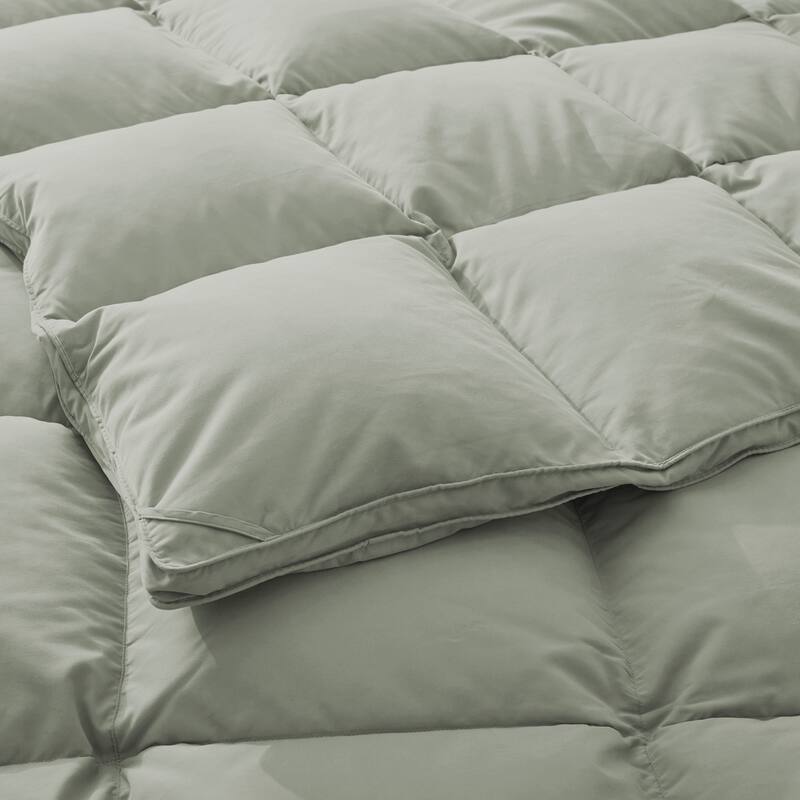 Medium Warmth All Season Paisley Floral & Solid Pattern Duvet Insert White Goose Down Feather Comforter