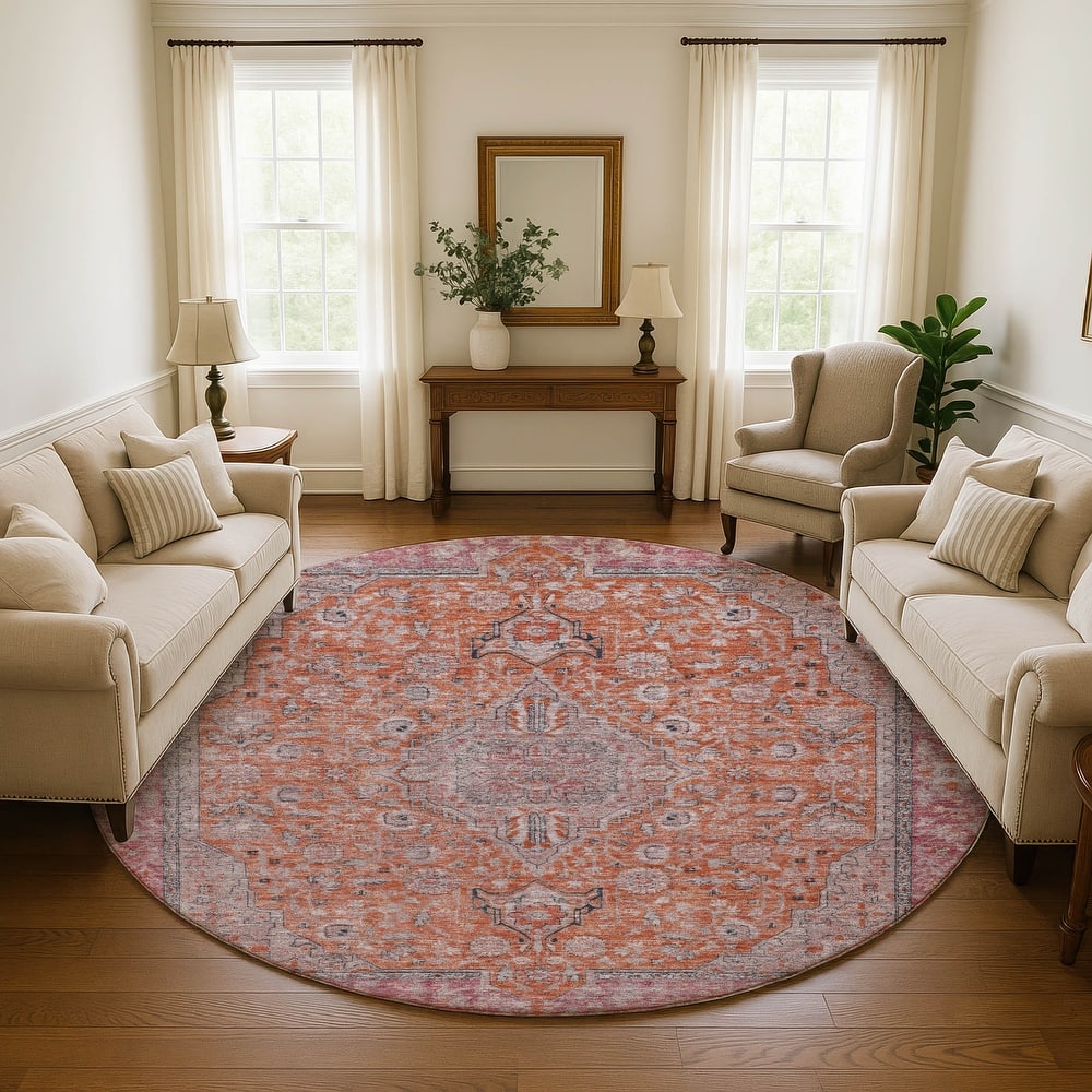 Premium Washable Super Soft Vintage Traditional Mayfield Rug