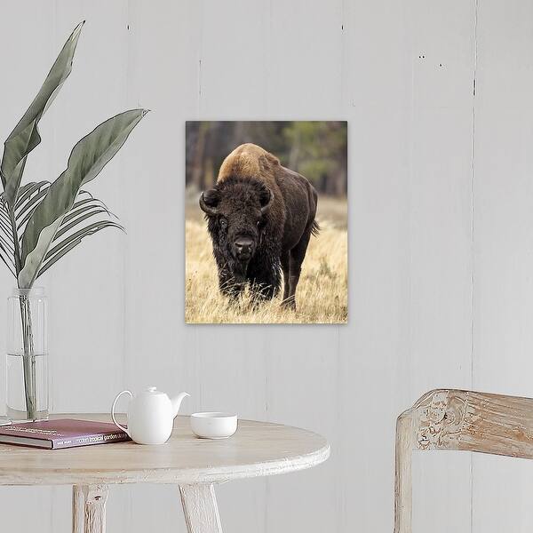 https://ak1.ostkcdn.com/images/products/is/images/direct/d3936fc7f76f15aed04475f248805bbdc5b4d847/%22Bull-Bison%22-Canvas-Wall-Art.jpg?impolicy=medium