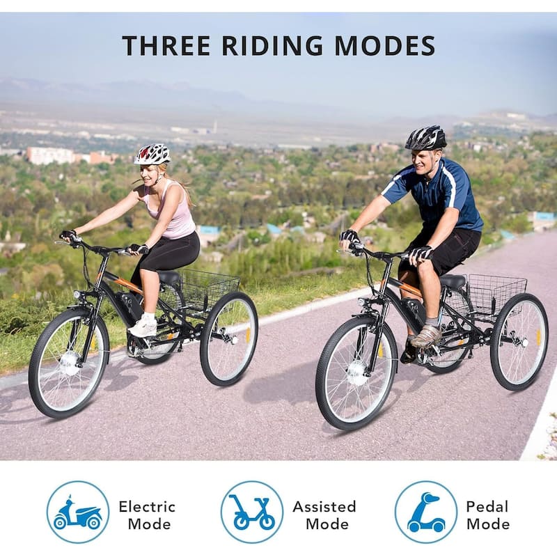 3 Wheel Electric Bicycle for Adults with Basket, Electric Tricycle