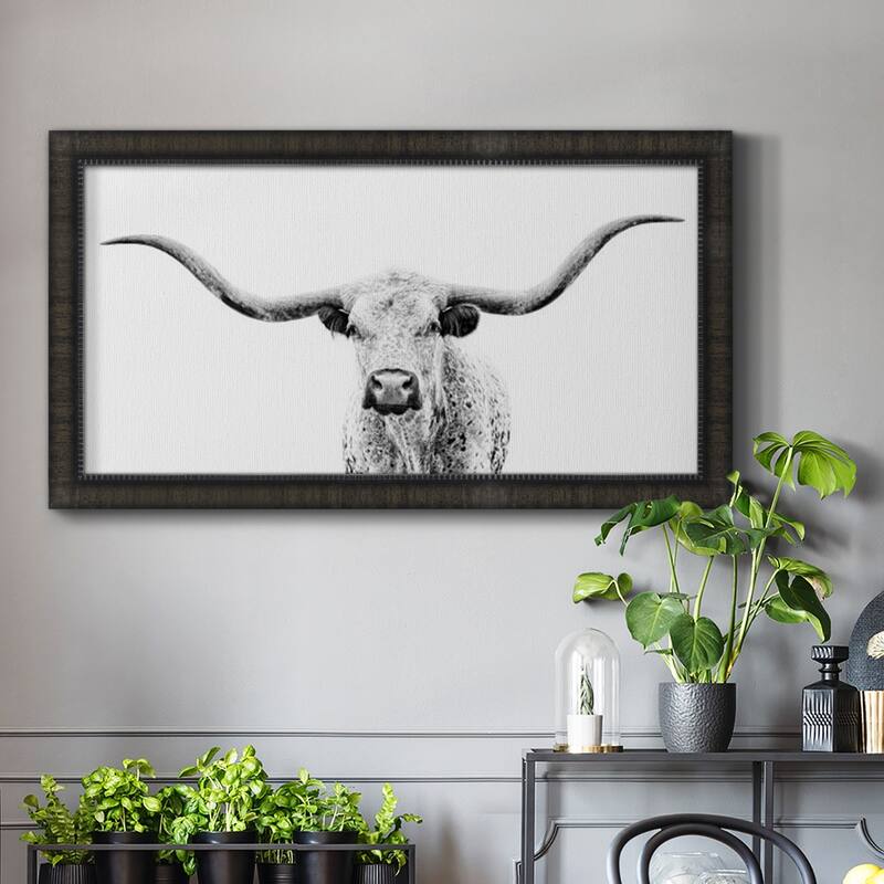 Longhorn Gaze Premium Framed Canvas- Ready to Hang