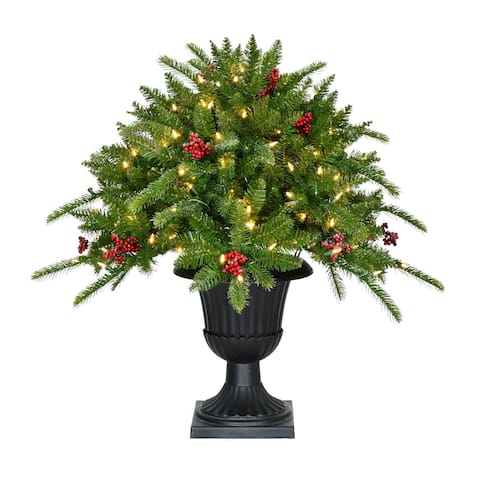 Fraser Hill Farm 3-Ft. Porch Tree in Black Pot with Red Berries and Warm White Lights