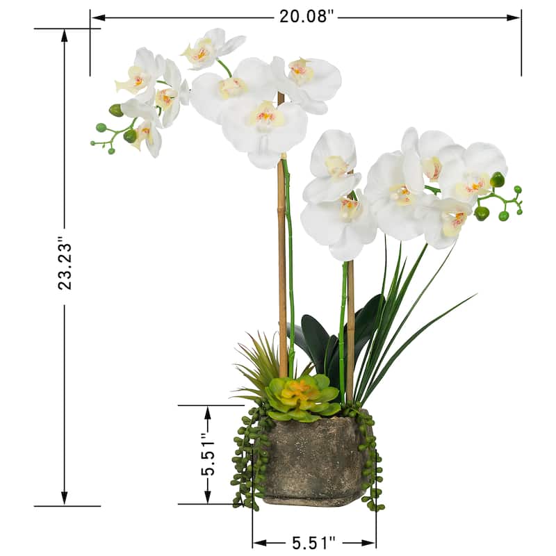 2 Stems Real Touch Phalaenopsis Plastic Orchids with Succulents in Pot - 23.23" H x 20.08" W x 10.04" D