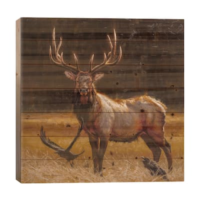 Desperado Print On Wood by Mark McKenna - Multi-Color