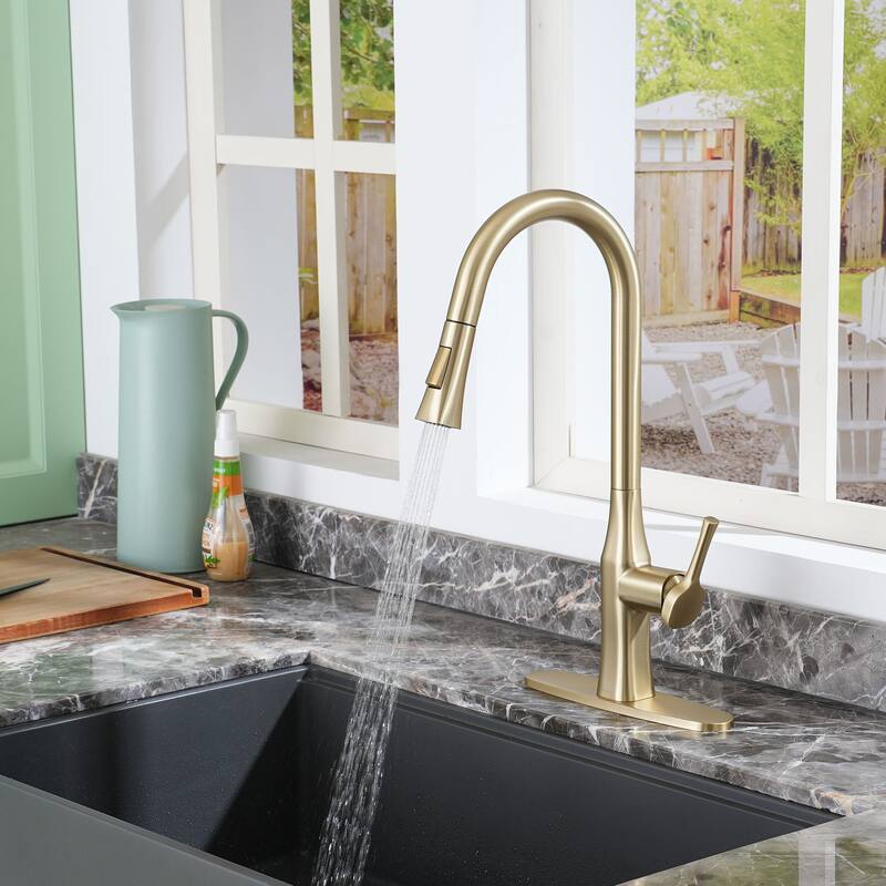 Single-Handle Pull-Out Sprayer Kitchen Faucet