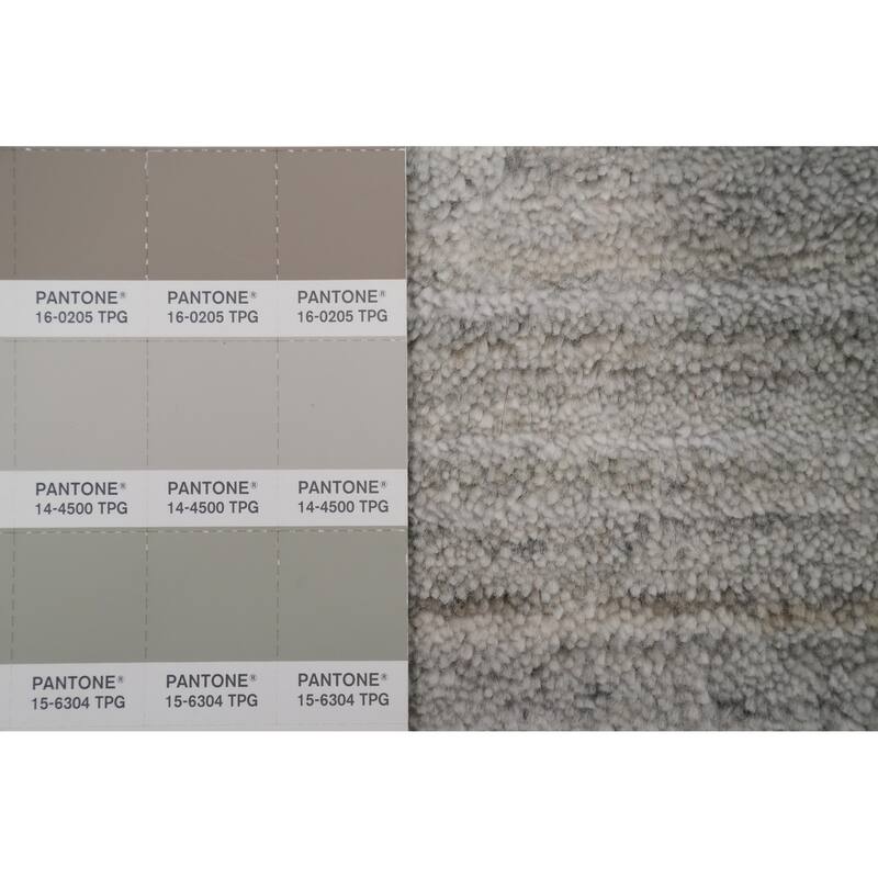 Hand Knotted Oriental Viscose Silk Carpet Tribal Animal Pictorial Greys & Charcoal Gabbeh Area Rug - 11' 8'' X 5' 5''