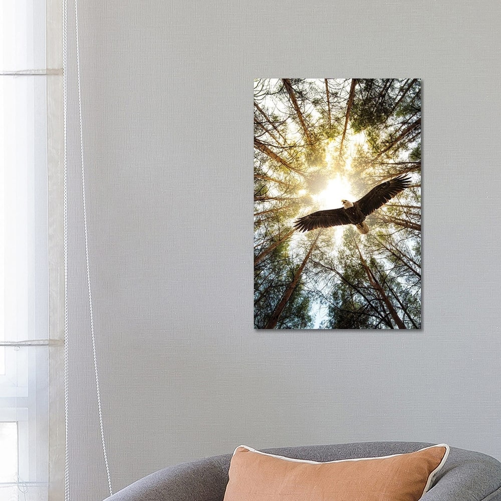 iCanvas "Master Of Heaven Bold Eagle" by Nik Rave Canvas Print