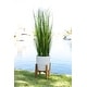 preview thumbnail 1 of 7, 50" Onion Grass in 10" Cathedral Ceramic Pot