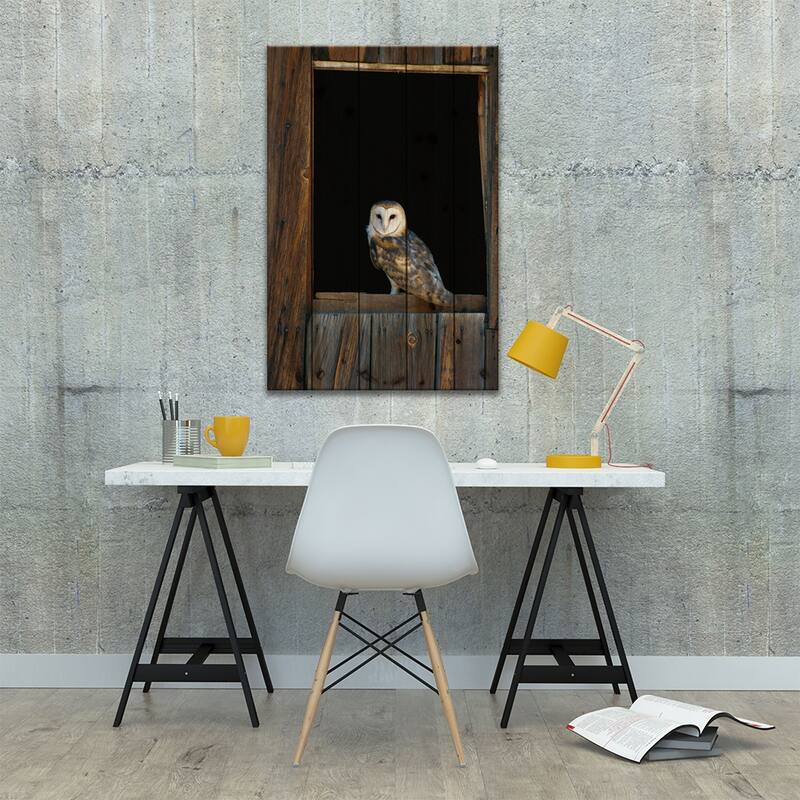 Barn Owl Perching On Barn Window, North America Print On Wood by Konrad Wothe - Multi-Color