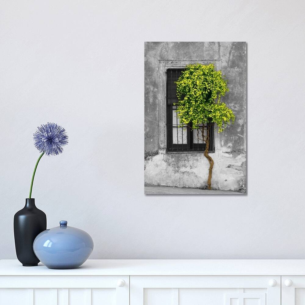 iCanvas "Tree in Front of Window Green Pop Color Pop" by Panoramic Images Canvas Print