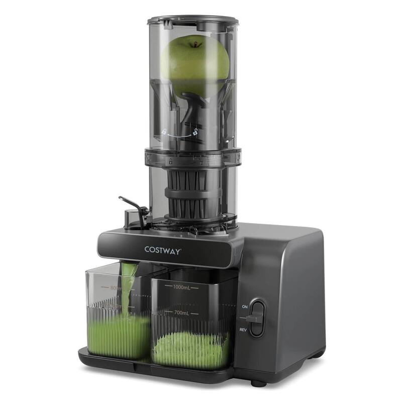 Costway Cold Press Juicer Machine Professional Slow Masticating Juicer - See Details - Grey - See Details