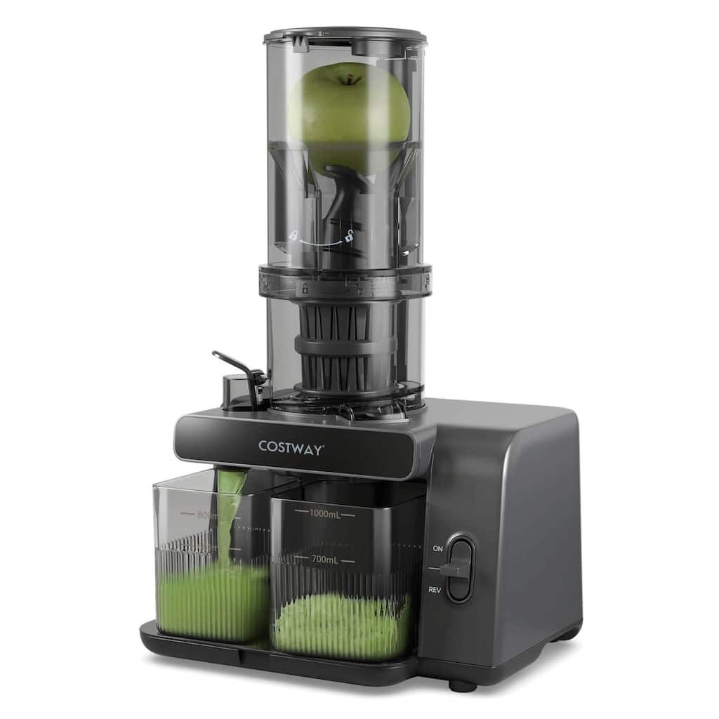 Costway Cold Press Juicer Machine Professional Slow Masticating Juicer - See Details