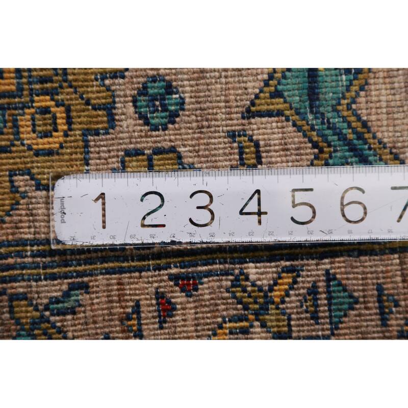 Brown Vegetable Dye Ziegler Oriental Area Rug Hand-Knotted Wool Carpet - 6'10"x 10'5"