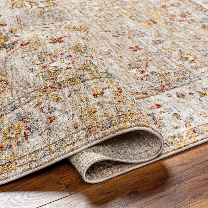 Livabliss Transitional Mona Lisa Medallion Area Rug