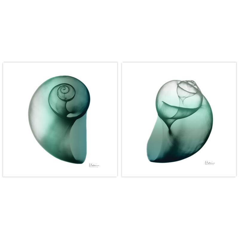 "Shimmering Snail I & II" Frameless Free Floating Tempered Glass Panel Graphic Wall Art - White