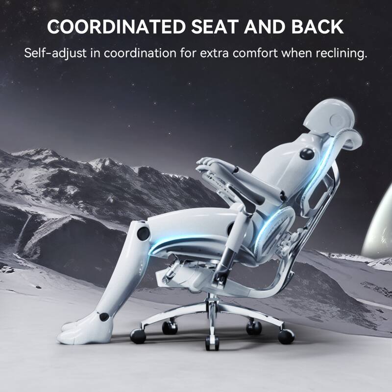 SIHOO Doro S300 Ergonomic Office Chair - Dual-layer Dynamic Lumbar Support - 78.5*70*125