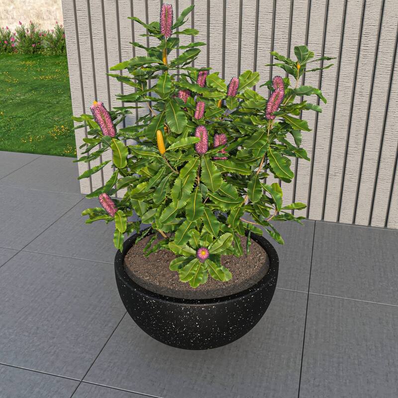 Iris Modern Minimalist Round Fiberstone and MGO Clay Planter With Drainage Holes for Indoor Outdoor Home Office Yard Patio Decor