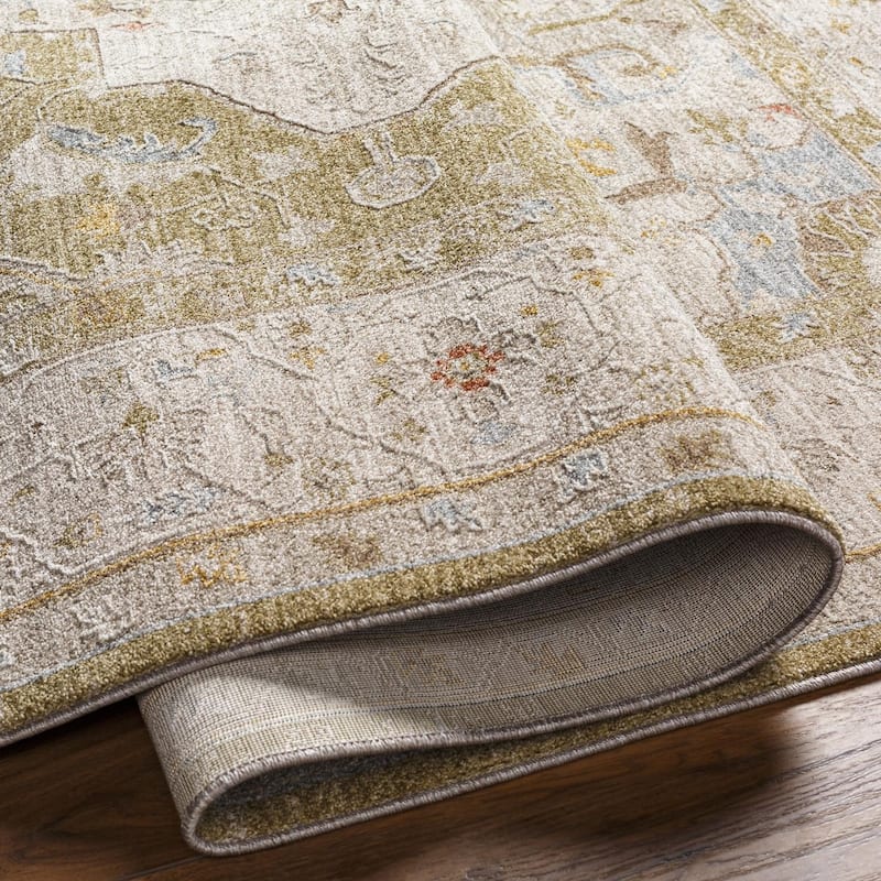 Livabliss Traditional Avant Garde Medallion Area Rug