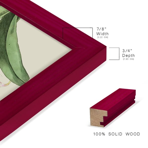 dimension image slide 4 of 15, Orchid Blooms I -Framed Print w/glass-Cherry Red