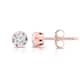 Option Rose