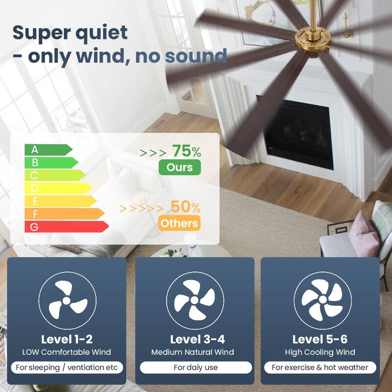 MLiAN 8-Plywood Double-Sided Blades Indoor Standard Black Ceiling Fan with Remote Down-Rod Mount