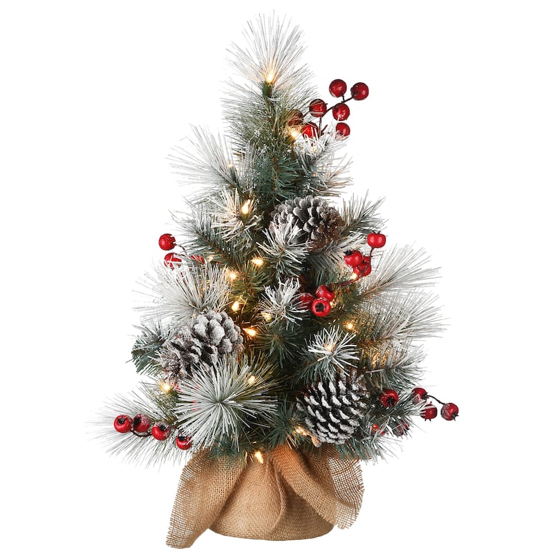 National Tree Company 2 ft. Snowy Glacier Pine Tree with Battery Operated LED Lights - 2 Foot