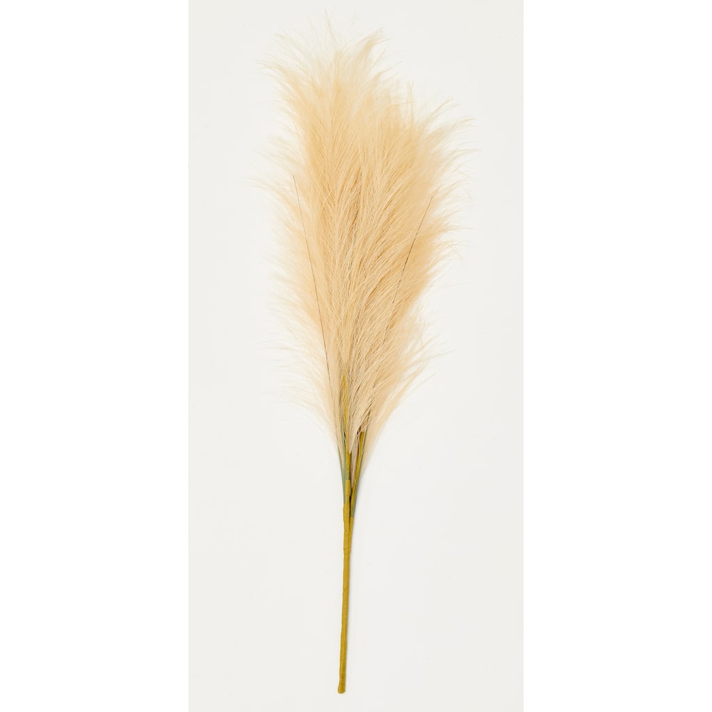 23" Fall Pampas Grass Spray, Set of 6