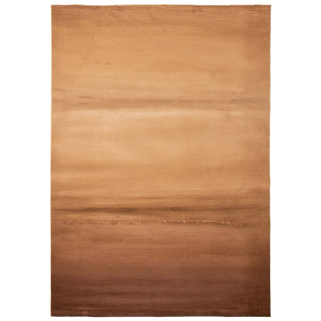 ECARPETGALLERY Machine Woven Lotus Mod Tan Polypropylene Rug - 6'7 x 9'6