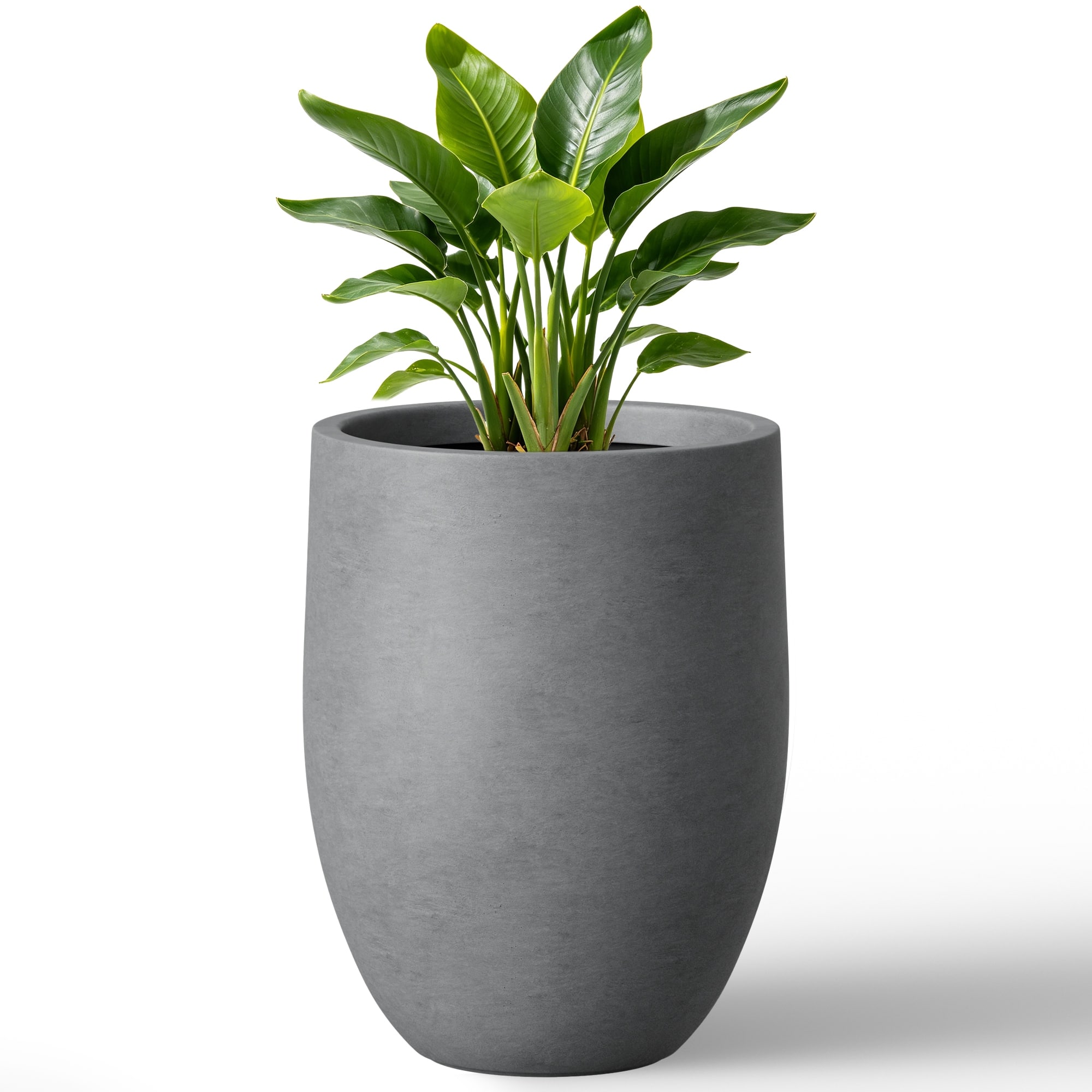 Option Medium Gray