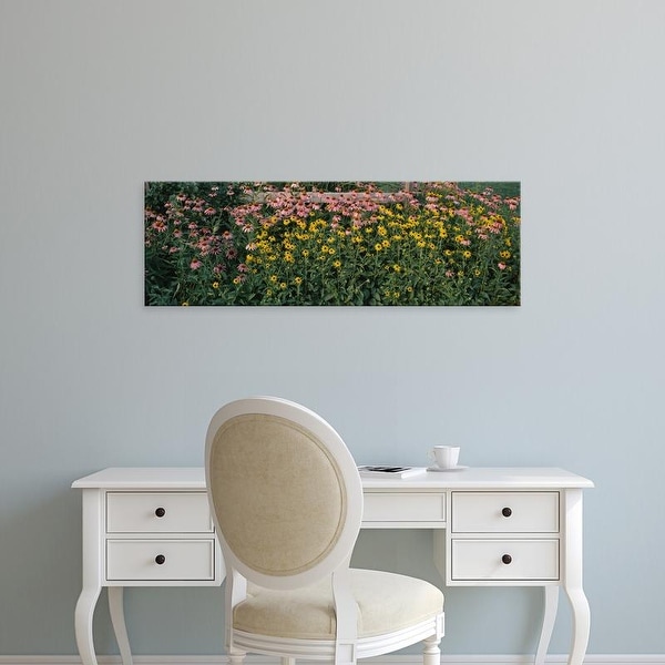 Easy Art Prints Panoramic Images's 'Field of flowers in bloom, Marion County, Illinois, USA' Premium Canvas Art