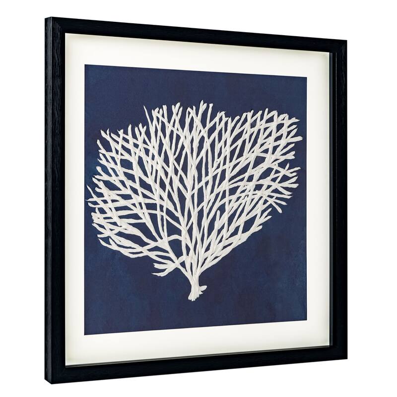 Sea Fan, Shadow Box - Sea Fan 2