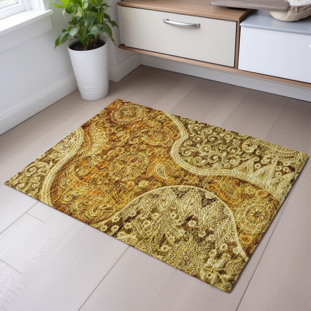 Premium Washable Super Soft Modern Paisley Mayfield Rug
