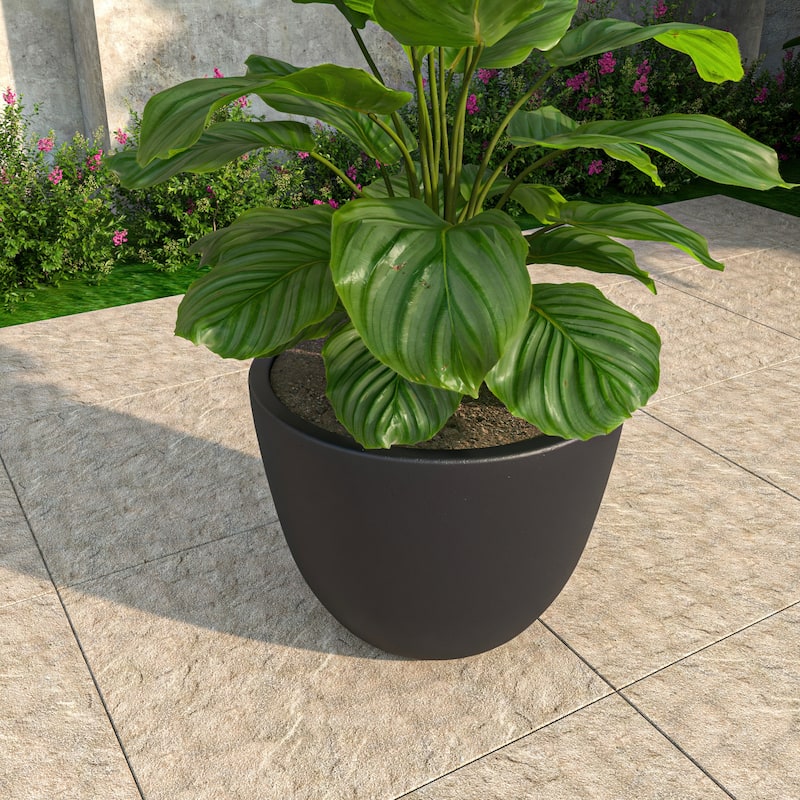 Dahlia Tapered Round Planter Pot in Fiberstone MGO Clay with Drainage for Indoor Outdoor Patio Balcony, Garden, or Living Room - Medium - Black