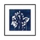 preview thumbnail 1 of 16, iCanvas "Cyanotype Botanical II" by Carol Robinson Framed Silver - 18x18