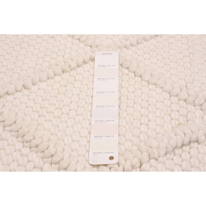 ECARPETGALLERY Braid weave Sienna Cream Wool Rug - 2'4 x 6'9