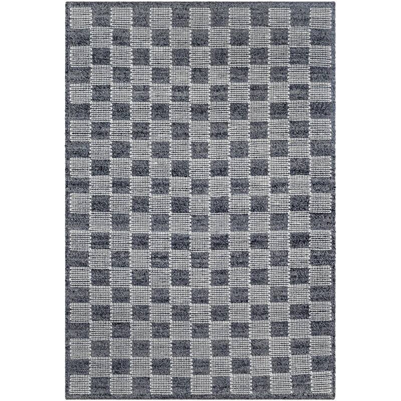 Braulio Transitional Checkered Wool Area Rug