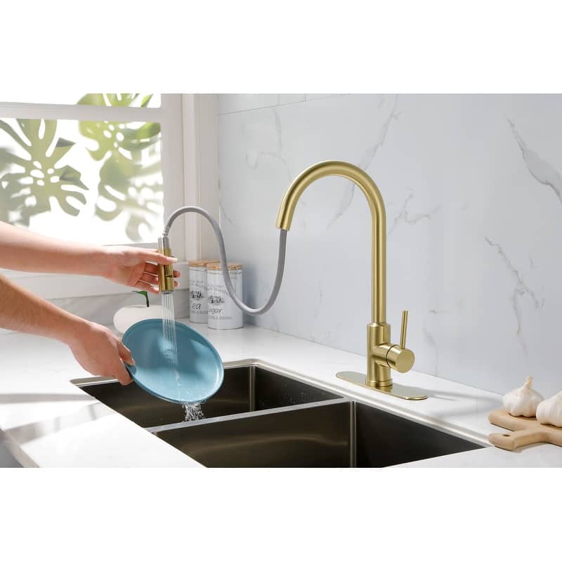 Kitchen Faucet with Pull Down Sprayer