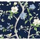 Option Navy Blue & Spring Green