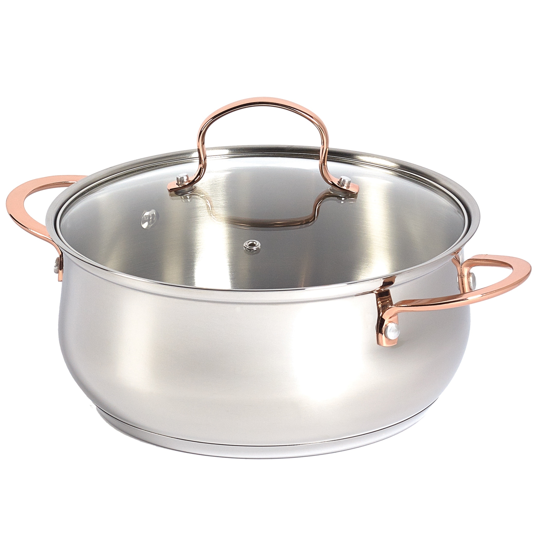 https://ak1.ostkcdn.com/images/products/is/images/direct/d3d0d73c207f5dd0c827b586320dbf9bea18c9c1/Denmark-10PC-Stainless-Steel-Cookware-Set.jpg