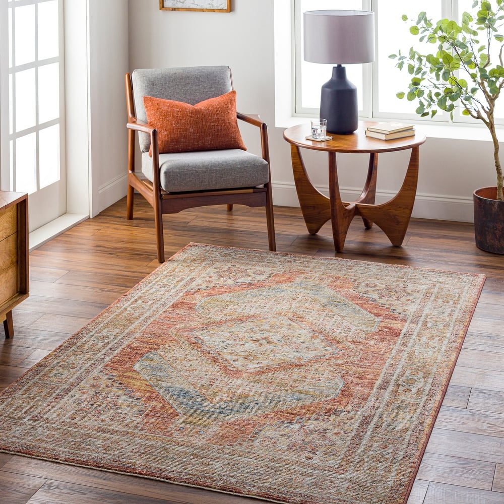 Abigail Traditional Medallion Area Rug