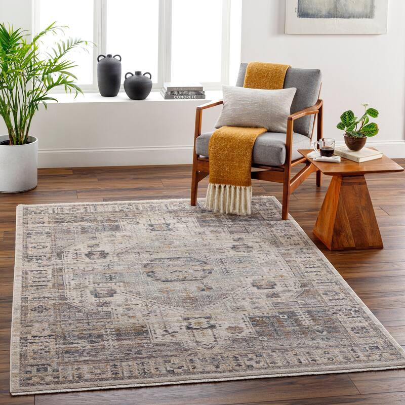 Alvarado Traditional Area Rug - 2' 7" x 4' 11" - Taupe/Gray