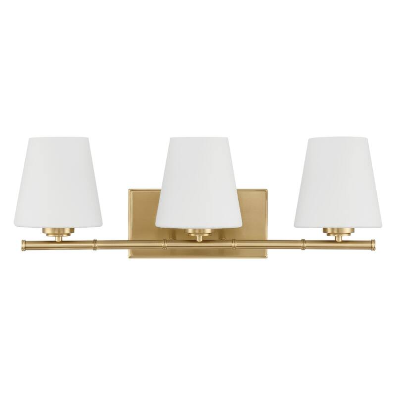 Hunter Fauna Grove 3-Light Bathroom Vanity Light - Modern, Transitional