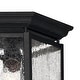 preview thumbnail 4 of 3, Hinkley Lighting 2 Light Outdoor Flush Mount Ceiling Fixture from the