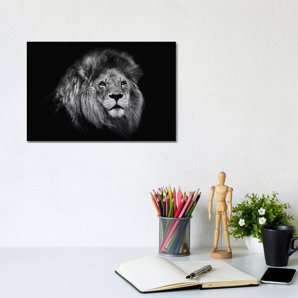 iCanvas "African Lion In Black And White" by David Whelan Canvas Print