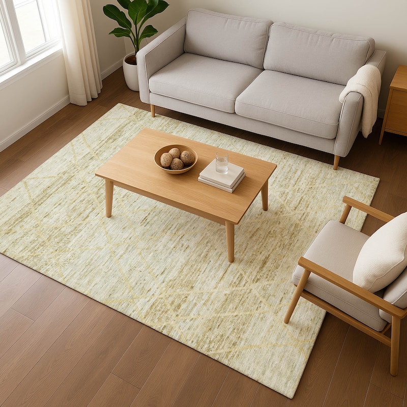 Premium Washable Super Soft Modern Global Mayfield Rug